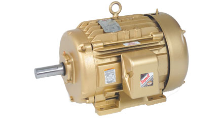 50 HP TEFC Electric Motor