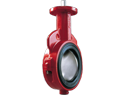 Butterfly Valve, Wafer, Gear, 12